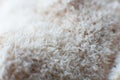 Detail edible Lion Mane Mushroom Hericium Royalty Free Stock Photo