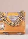 Detail of an elegant women\'s handbag