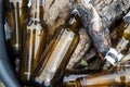 Detail of empty beer bottles left at random in the environment. Royalty Free Stock Photo