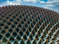 Detail of the Esplanade Theatres by the Bay, Singapore Royalty Free Stock Photo