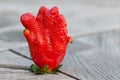 Closeup of an extraordinary shaped strawberry Royalty Free Stock Photo