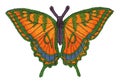 Scan of a butterfly made with a sewing machine orange violet green and blue colors