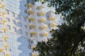 Detail of the facade of a multistory building and a tree Royalty Free Stock Photo