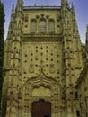 Detail of the facade of the New Cathedral of Salamanca, Spain Royalty Free Stock Photo