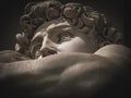 Detail of the face of Michelangelo`s David Royalty Free Stock Photo