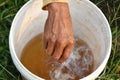 Farmer hand drops liquid chemical to water in white bucket preparation for spray machine in rice field