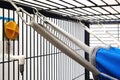 Detail of fastening ferret bed or hammock in cage Royalty Free Stock Photo