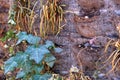 detail of the felt pockets of a vertical artificial garden Royalty Free Stock Photo