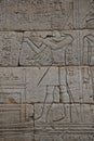 Detail from The Temple of Dendur, Metropolitan Museum of Art, New York, USA Royalty Free Stock Photo