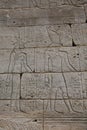Detail from The Temple of Dendur, Metropolitan Museum of Art, New York, USA Royalty Free Stock Photo