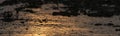 Detail of first sunlight reflecting on waterstream flow with mosquitos at Marun salt lake in the Barharia oasis