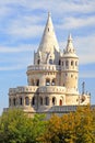 Detail of the Fisherman`s Bastion