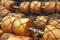 Detail of fishing net in Icy Strait Point Alaska USA Royalty Free Stock Photo