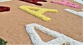 Detail Floral carpet, street flower celebration in Sitges, Spain