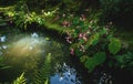 Detail of flowers along a pond with reflections of forest in a zen garden in Kyoto, Japan