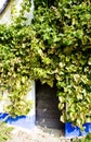 detail of folk wine cellar, Blatnice pod svatym Antoninkem, Czec Royalty Free Stock Photo