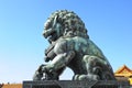 Detail in Forbidden City (China): bronze lion Royalty Free Stock Photo