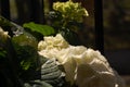 Detail from white hydrangea