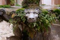 Detail of the fountain in the cloister - the basilica of Cosmas and Damian (Santi Cosma e Damiano) in Rome Royalty Free Stock Photo