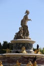 Fountain in the gardens of the Palace of Versailles Royalty Free Stock Photo