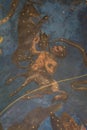 Detail of a Fresco in the Zodiac Room inside Ducal Palace in Mantua -Italy