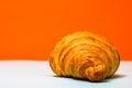 Detail of fresh croissant isolated, french breakfast concept