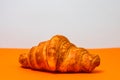 Detail of fresh croissant isolated, french breakfast concept