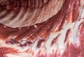 Detail of fresh pork carcass closeup. Meat, fat, ribs, blood. Fa
