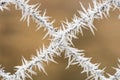 Detail of frozen fence. Mesh covered with frost. Royalty Free Stock Photo