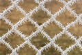 Detail of frozen fence. Mesh covered with frost. Royalty Free Stock Photo