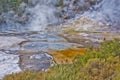 Detail of Frying pan lake in Waimangu geothermal park, New Zealand Royalty Free Stock Photo