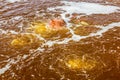 Detail of Gaet'ale Pond in Danakil depression, Ethiopia. Hypersaline lake with bubbling ga Royalty Free Stock Photo