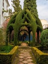 Detail of a garden in Granada, Spain
