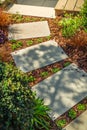 Detail of garden path with stone slabs with bark mulch and native plants. Landscaping and gardening concept