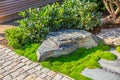 Detail of garden path with stone slabs with bark mulch and native plants. Landscaping and gardening concept