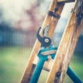 Detail of Gardening Secateurs Hang Up on a Gardening Ladded