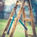 Detail of Gardening Secateurs Hang Up on a Gardening Ladder