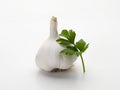 Detail of a garlic head and a sprig of parsley