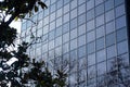 geometric glass facade with trees reflected on it Royalty Free Stock Photo