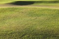 Detail of a golf course grass Royalty Free Stock Photo