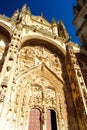 detail of gothic cathedral, Salamanca, Castile and Leon, Spain Royalty Free Stock Photo