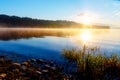 Detail of grass halm at a lake in magical morning time with dawning sun.