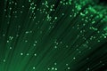 detail of green matrix growing bunch of optical fibers background, fast light signal for high speed internet connection concept