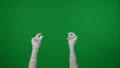 Detail green screen isolated chroma key photo capturing mummy's hands raising up in the air, snapping its fingers.
