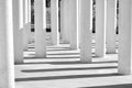 Columns and their shadows, black and white Royalty Free Stock Photo