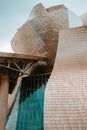 Detail of the Guggenheim museum building in Bilbao, Spain Royalty Free Stock Photo