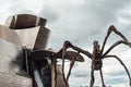 Detail of the Guggenheim museum building by Frank O. Gehry in Bilbao, Spain