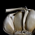 Detail of half garlic head