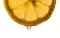 Detail half lemon slice backlit with juice falling isolated background Royalty Free Stock Photo