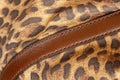 Detail of handbag with stitching on background of genuine leather, bright color of exotic skin of jaguar. Shopping concept,